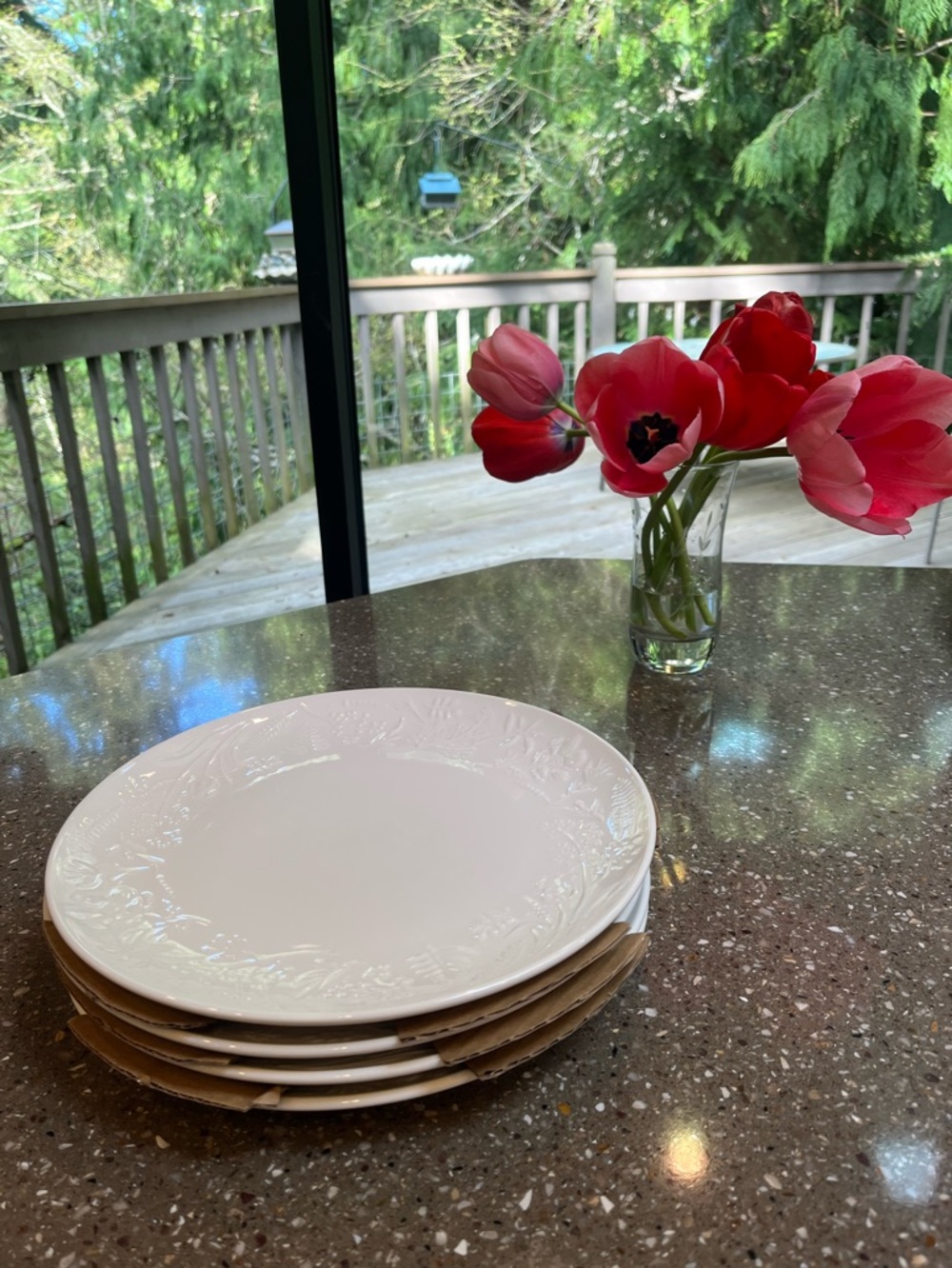 Princess house Classic White Embossed Dinner Plates - Set of 4